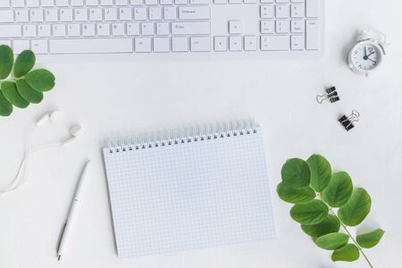Mockup notebook with green leaves on light backgroundの写真素材