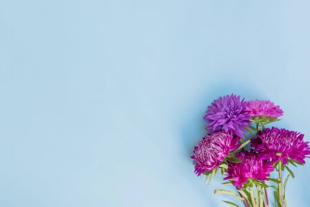 Bouquet with pink flowers on blue background empty space for your text, top viewの写真素材