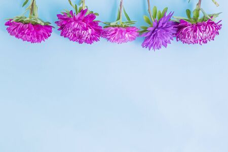 Frame with pink flowers on blue background empty space for your text, top viewの写真素材