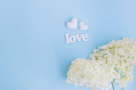 White flower hydrangea and white hearts on a blue background with letters loveの写真素材