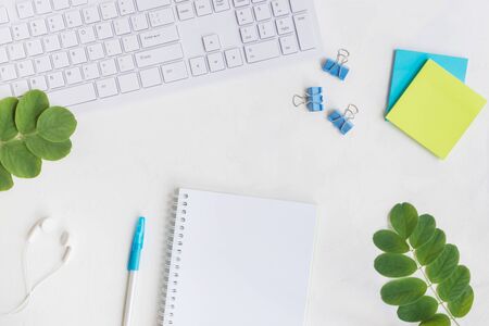 Blogger or freelancer workspace with notebook and green leaves on light backgroundの写真素材