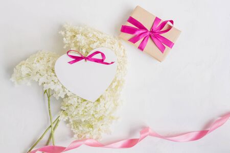 White flower hydrangea and gift box on a light backgroundの写真素材