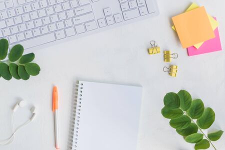 Blogger or freelancer workspace with notebook and green leaves on light backgroundの写真素材