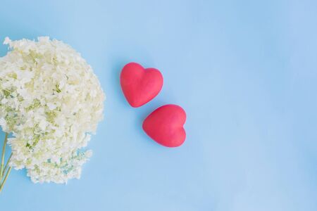 White flower hydrangea on a blue background empty space for your text, top viewの写真素材