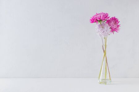 Pink flowers in a vase on a light background. Interior decorの写真素材