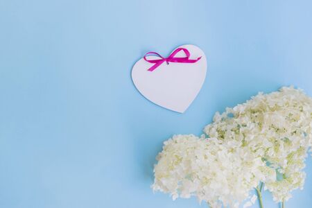 White flower hydrangea on a blue background empty space for your text, top viewの写真素材