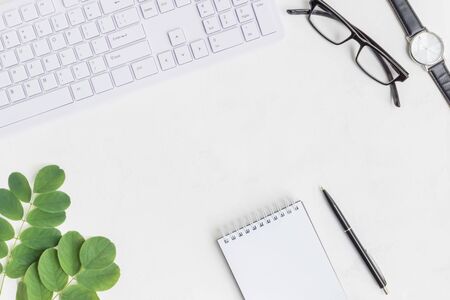 Blogger or freelancer workspace with notebook and green leaves on light backgroundの写真素材