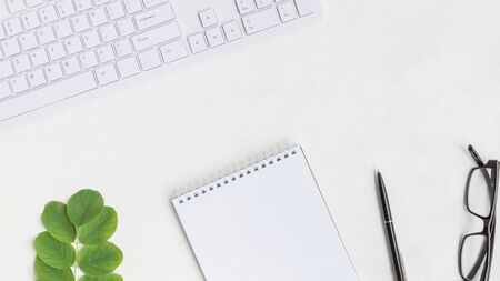 Blogger or freelancer workspace with notebook and green leaves on light backgroundの写真素材