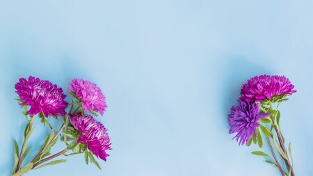 Bouquet with pink flowers on blue background empty space for your text, top viewの写真素材