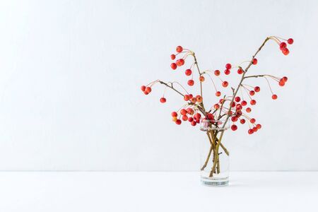 Branches with small red apples in a vase on a light background. Interior decorの写真素材
