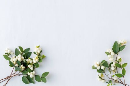 Branches with green leaves on a white background. Flat lay, top viewの写真素材
