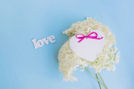 White flower hydrangea on a blue background with letters loveの写真素材