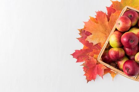 Red apples and autumn leaves in a wooden basket on a white backgroundの写真素材