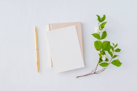 Mockup blank paper card and branch with green leaves on a white background. Flat lay, top viewの写真素材