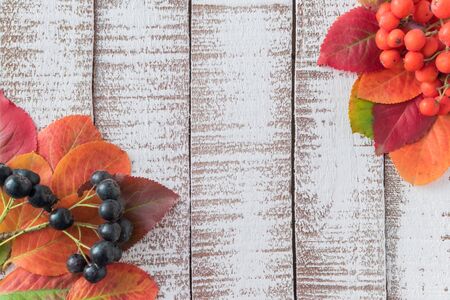 Bright autumn leaves on a light wooden backgroundの写真素材