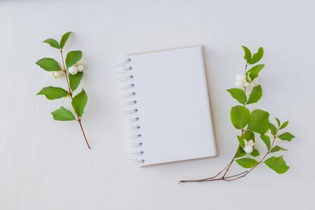 Mockup notebook and branch with green leaves on a white background. Flat lay, top view