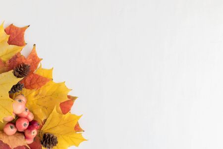 Bright autumn leaves on a light background