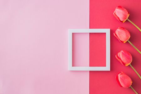 Valentines day composition with red tulips and white frame on a colored background. Flat lay, top viewの写真素材