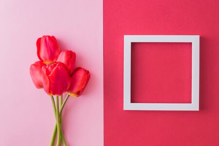Valentines day composition with red tulips and white frame on a colored background. Flat lay, top viewの写真素材