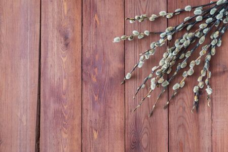 Easter festive decor with willow branches on a wooden background
