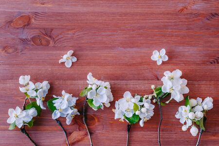 Flat lay composition with spring white flowers on a wooden backgroundの写真素材