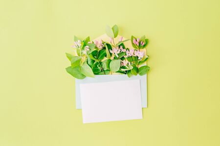 Mockup white greeting card and envelope with branches and green leaves on a green backgroundの写真素材