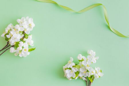 Flat lay composition with spring white flowers on a green backgroundの写真素材