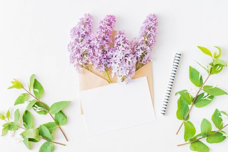 Mockup white greeting card and envelope with branches of lilac on a white backgroundの写真素材