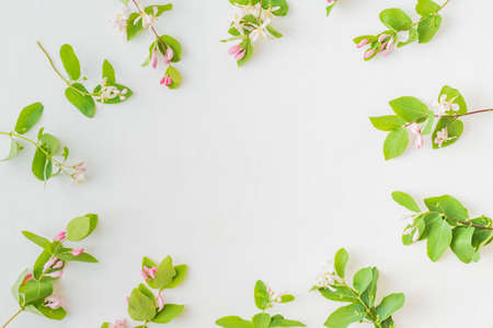 Flat lay pattern with branches and green leaves on a white backgroundの写真素材