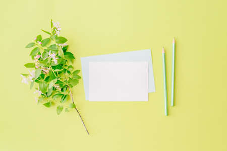 Mockup white greeting card and envelope with branches and green leaves on a green backgroundの写真素材