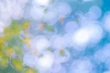 Abstract defocused nature background with blue bokeh