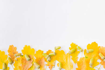 Flat lay border with colorful autumn leaves and acorns on a white background