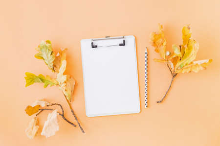 Mockup clipboard with colorful autumn leaves on a color background
