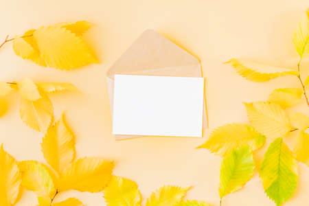 Mockup white greeting card and envelope with colorful autumn leaves on a color background