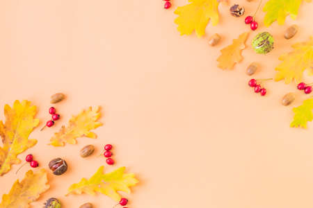 Flat lay frame with colorful autumn leaves, acorns and berries on a color backgroundの写真素材
