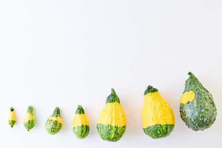 Flat lay composition with pumpkins on a white background