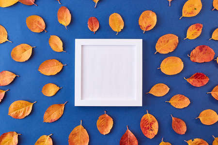 Mockup square white frame with colorful autumn leaves on a blue backgroundの写真素材