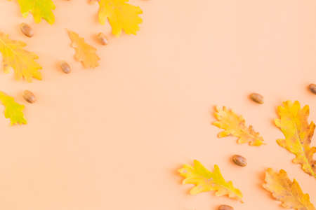 Flat lay frame with colorful autumn leaves and acorns on a color background
