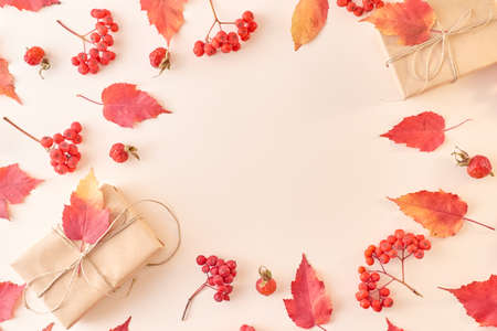 Flat lay frame with colorful autumn leaves and gift box on a color background