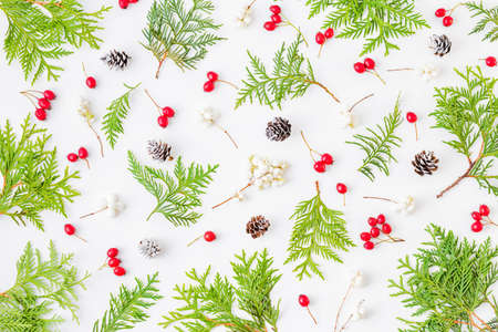 Flat lay christmas pattern with evergreen tree branch and berries on a white background