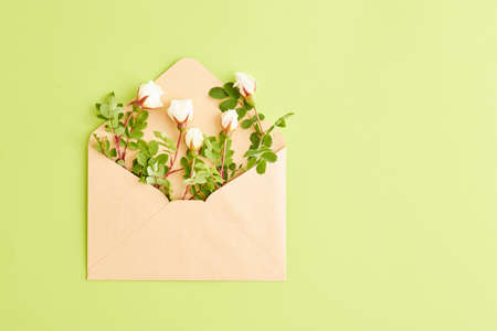 Flat lay composition with craft envelope and small white flowers on a green background