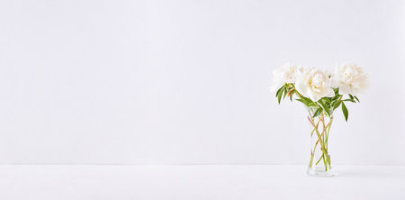 Home interior with decor elements. White peonies in a vase on a white backgroundの写真素材
