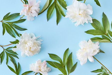 Flat lay composition with white peonies on a blue backgroundの写真素材