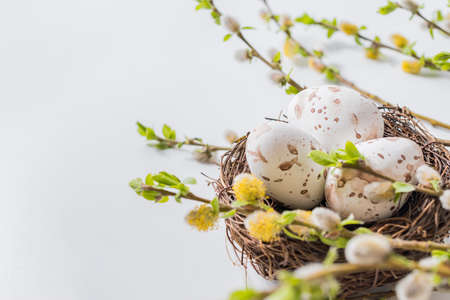 Composition with green buds on branches, decorative nest with easter eggs on a light backgroundの写真素材