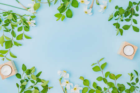 Flat lay composition with flowers, branches with green leaves on a color backgroundの写真素材