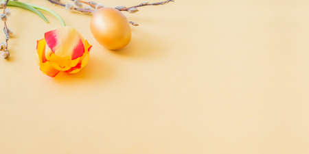 Easter composition with yellow tulips and a golden egg on a yellow backgroundの写真素材