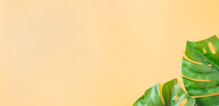 Flat lay composition with palm leaves on a yellow backgroundの写真素材