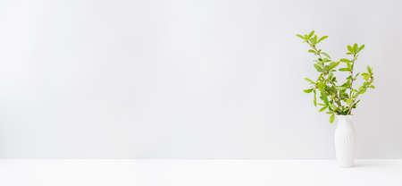 Home interior with decor elements. Branches with green leaves in a vase on a light backgroundの写真素材