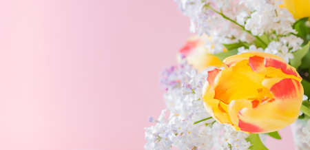 Yellow tulips and branches of lilac in a vase on a pink background