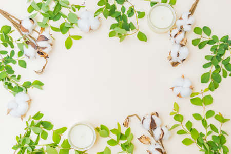 Flat lay composition with cotton, branches with green leaves on a color backgroundの写真素材